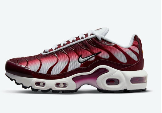 baskets Nike tn air max plus  2021