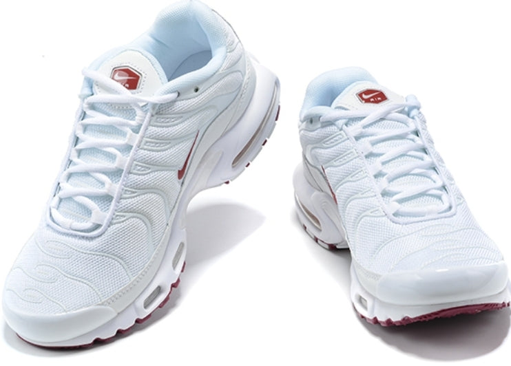 Nike tn air max plus 2021