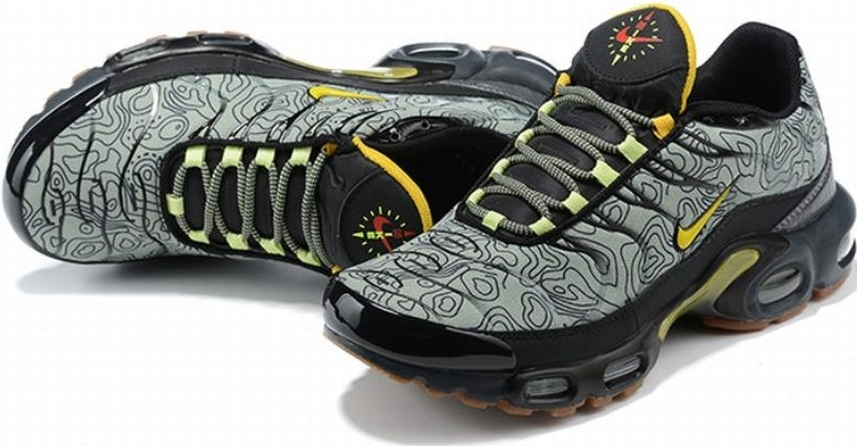 Nike tn air max plus 2021