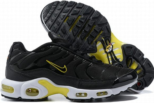 Nike tn air max plus 2021