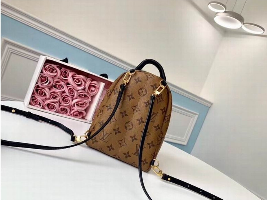 Women's Louis Vuitton Bag
