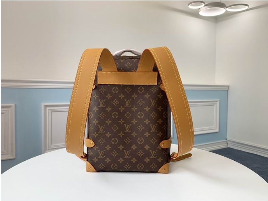 Women's Louis Vuitton Bag