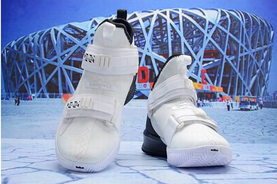 Chassures basket Lebron James