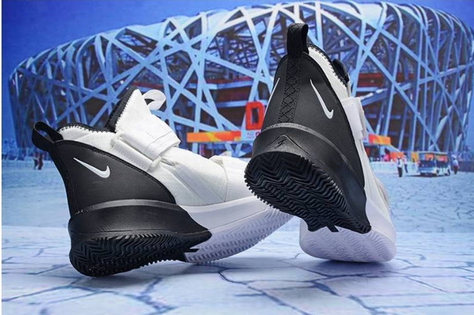 Chassures basket Lebron James