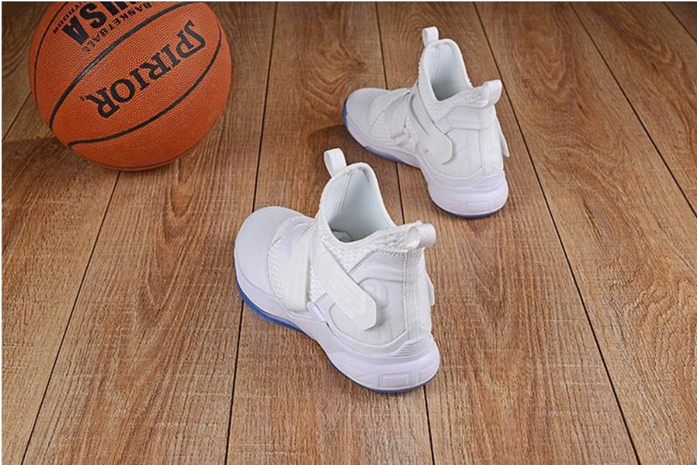 Chassures basket Lebron James