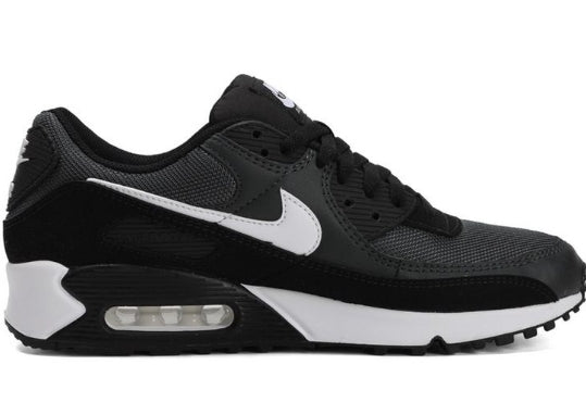 Baskets NIKE AIR MAX 90
Iron Grey/ White-Dk Smoke Grey-Black  Femme