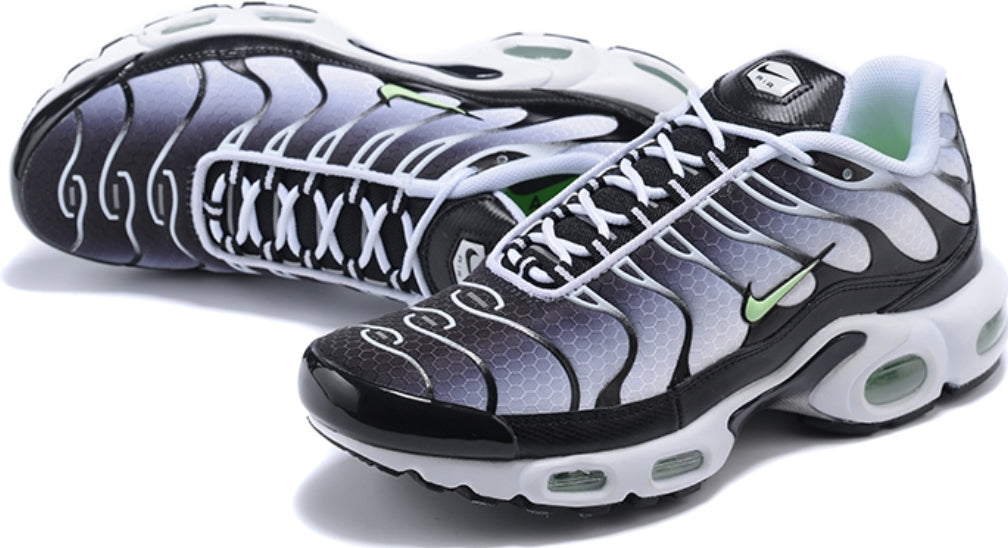 Nike tn air max plus 2021
