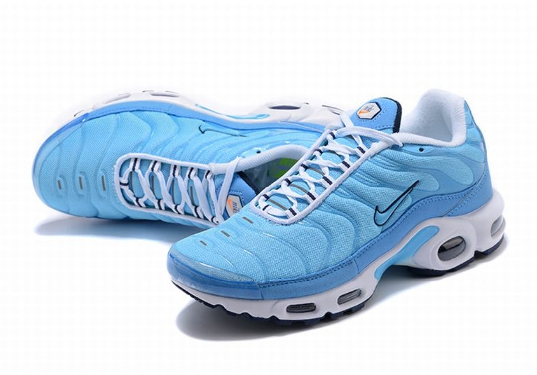 Nike tn air max plus 2021