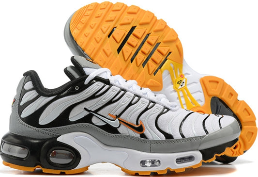 Nike tn air max plus 2021