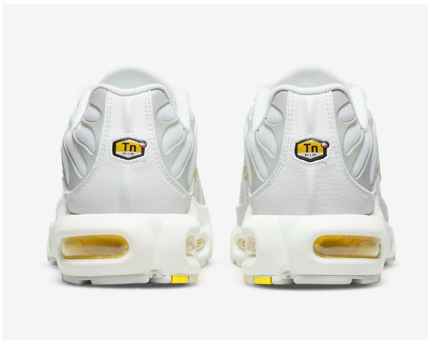 Nike tn air max plus 2021